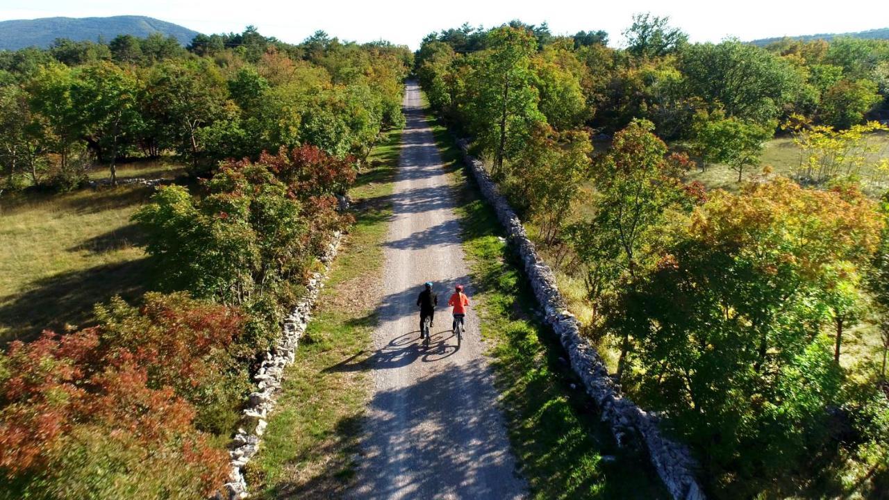 Kostanjevica na Krasu Vila Brinovka מראה חיצוני תמונה